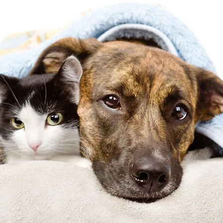 Ibis Budget Hotel Coutances